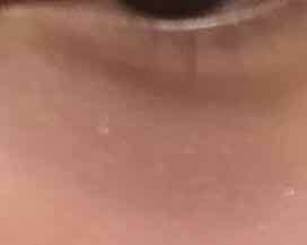 【旧品】パーフェクトスタイリストアイズ/キャンメイク/アイシャドウパレットを使ったクチコミ（2枚目）