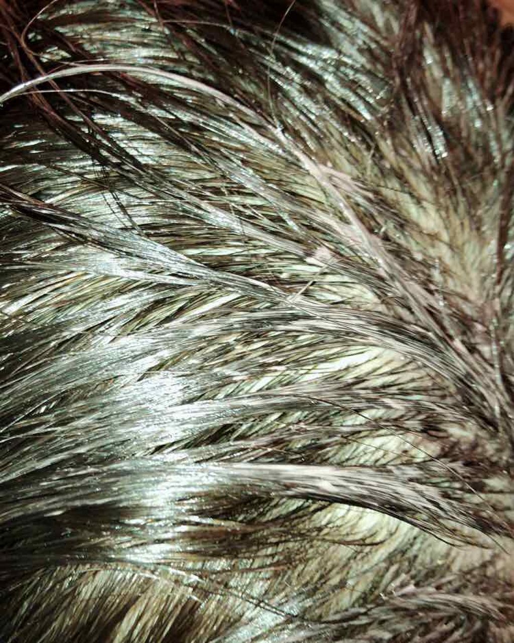 ヘッドスパ トリートメントカラー (旧)/レフィーネ/ヘアカラーを使ったクチコミ（3枚目）