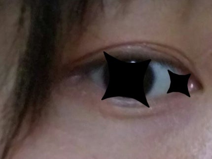 lameila 12色 アイシャドウパレット/Lameila/アイシャドウパレットを使ったクチコミ(2枚目)