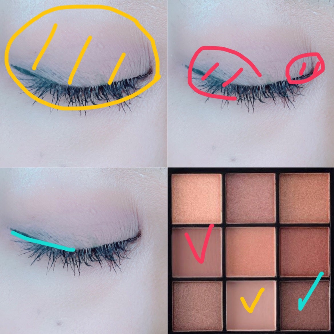 UR GLAM BLOOMING EYE COLOR PALETTE/U R GLAM/アイシャドウパレットを使ったクチコミ(2枚目)