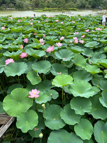 リポビタンD/大正製薬/栄養ドリンクを使ったクチコミ(3枚目)