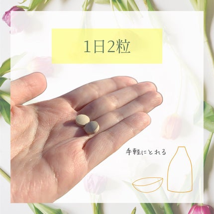 ぽち on LIPS 「せっかくダイエットしたのにちょっといつもより多めに食べていたら..」(4枚目)