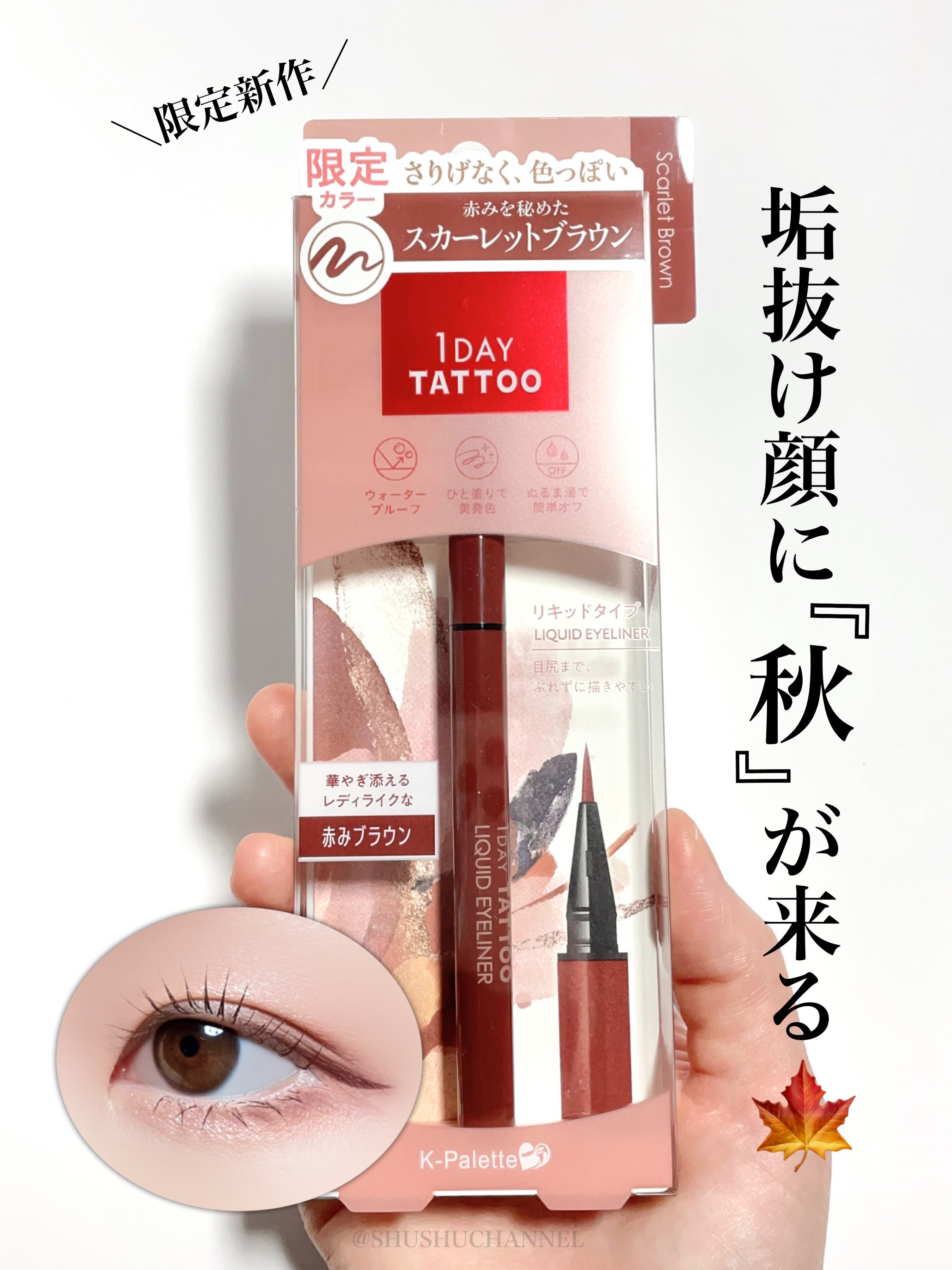 1DAY TATTOO リキッドアイライナー 01 メロウブラック/K-パレット/リキッドアイライナーを使ったクチコミ（1枚目）