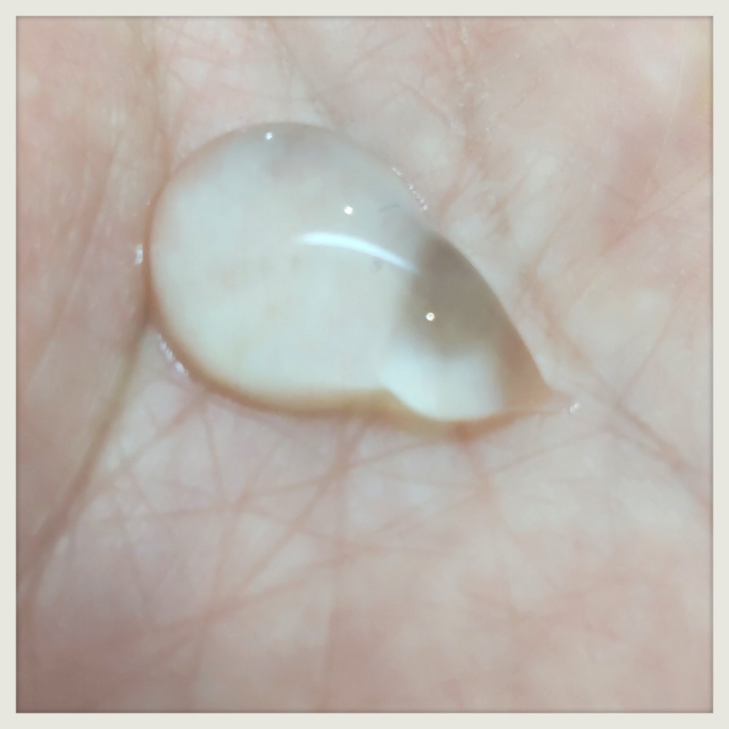 ラゴム ジェルトゥウォーター クレンザー(朝用洗顔)/LAGOM /その他洗顔料を使ったクチコミ(2枚目)