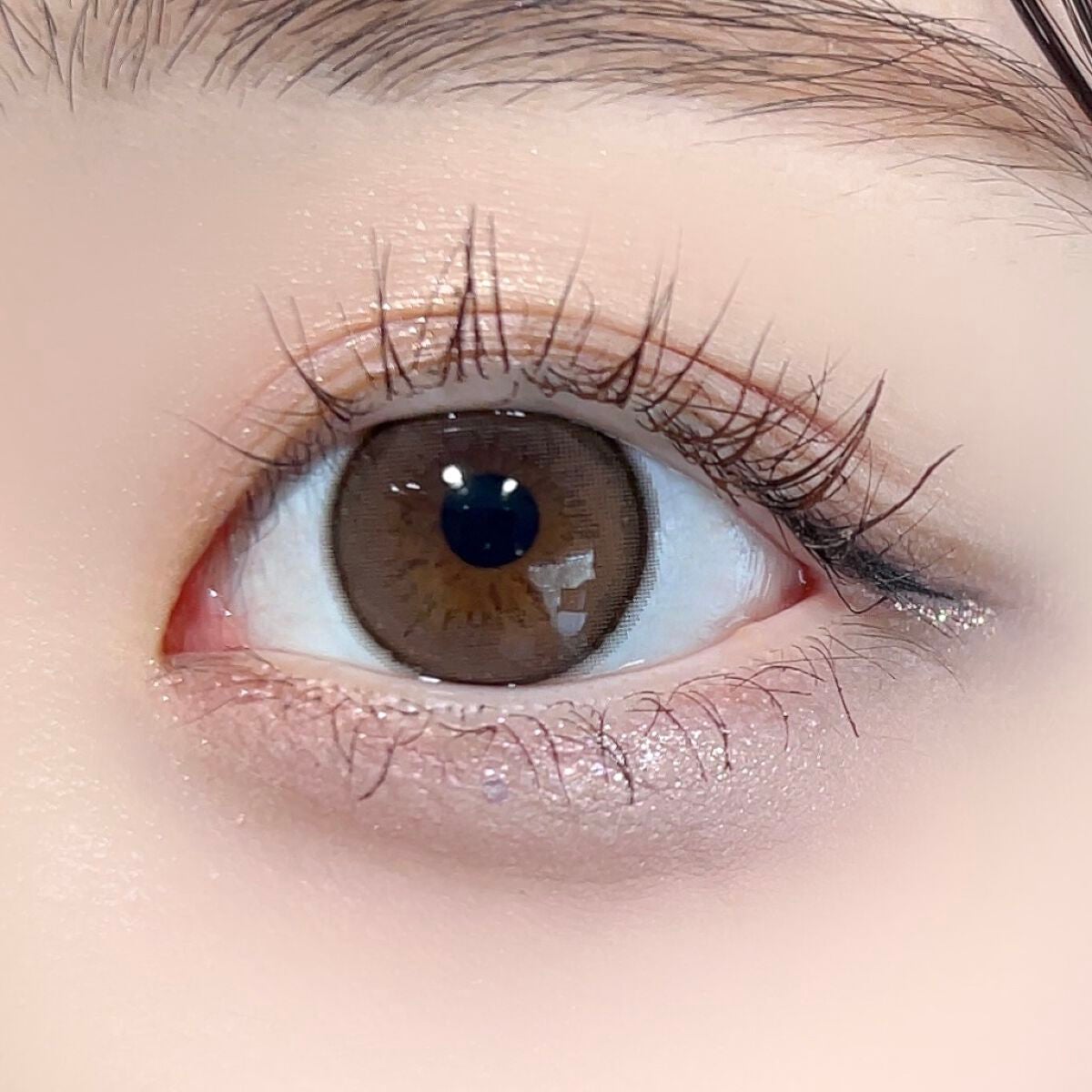 エバーカラーワンデー ナチュラル/エバーカラー/ワンデー(1DAY)カラコンを使ったクチコミ(3枚目)