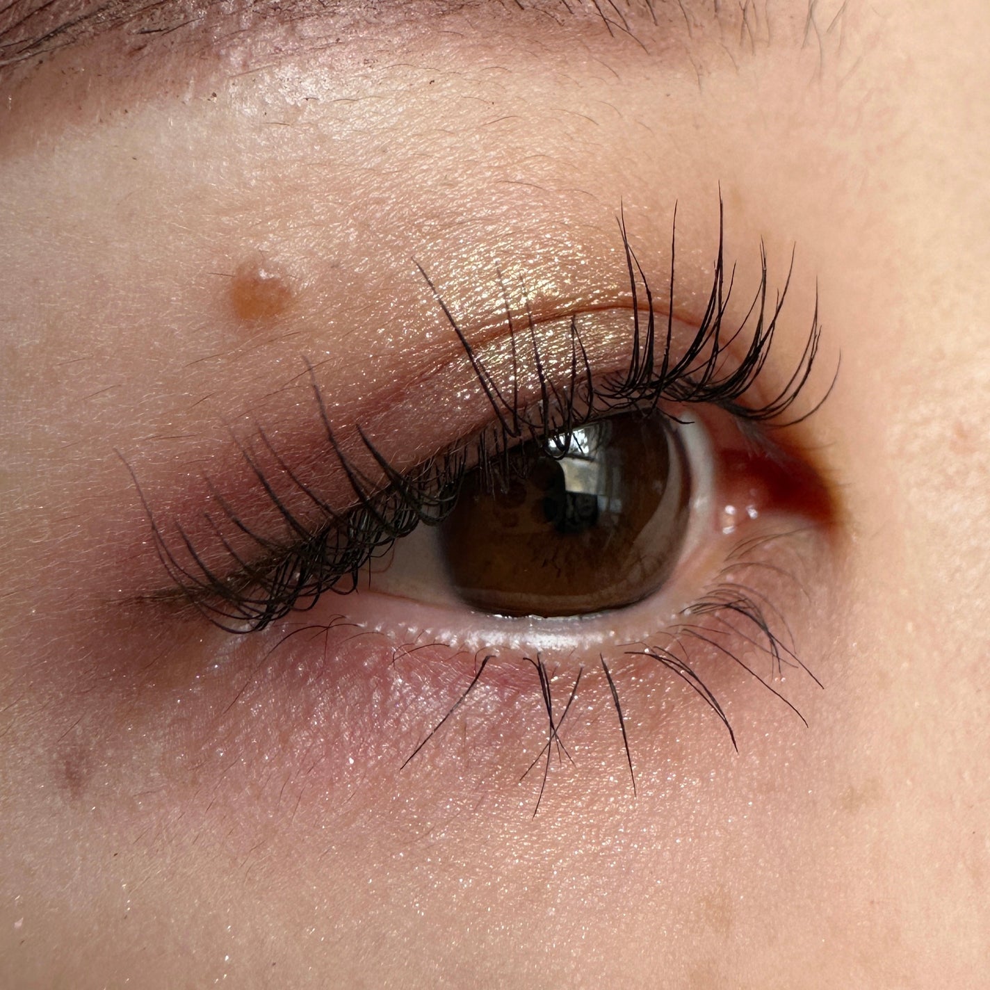 パーフェクトエクステンション マスカラ/D-UP/マスカラを使ったクチコミ(2枚目)