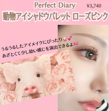 パーフェクトダイアリー エクスプローラ12色 動物アイシャドウパレットのクチコミ「
🎀🐖🐖🐖🐖🐖🐖🐷🐖🐖🐖🐖🐖🐖🎀


今回はアイシャドウパレットのご紹介です👀💕


┈┈┈┈.....」（2枚目）