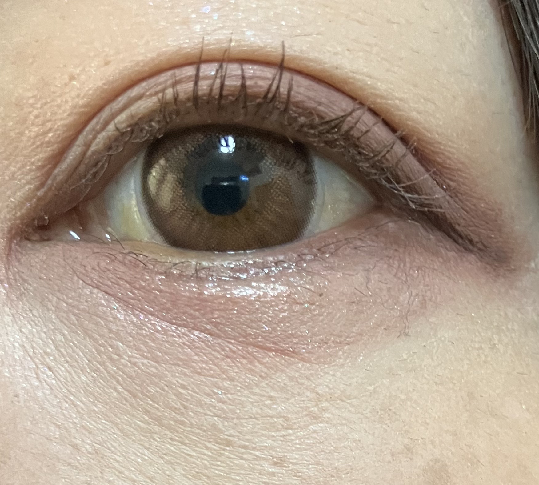 シルキースフレアイズ（マットタイプ）/キャンメイク/アイシャドウパレットを使ったクチコミ（2枚目）