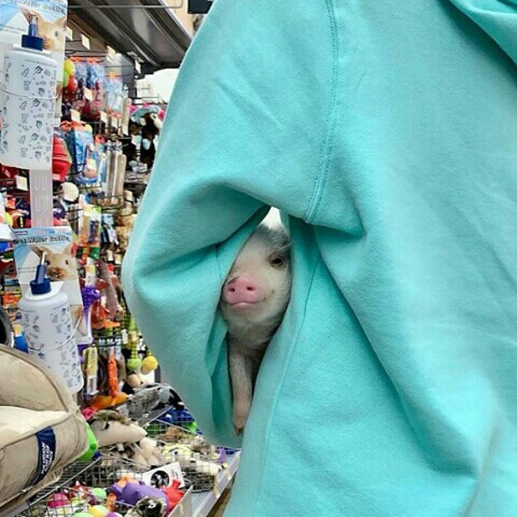 リフターナ クリアウォッシュパウダー/pdc/洗顔パウダーを使ったクチコミ(1枚目)