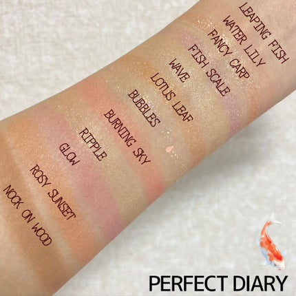 エクスプローラ12色 動物アイシャドウパレット/PERFECT DIARY/アイシャドウパレットを使ったクチコミ(4枚目)