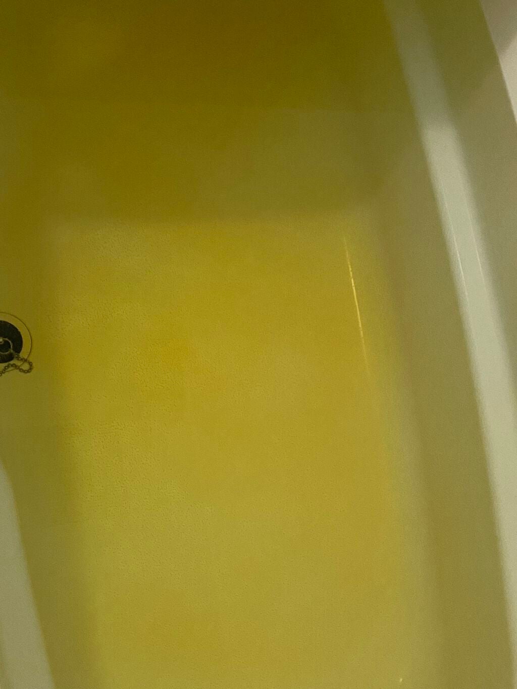 バスボール(深海の生き物)/DAISO/入浴剤を使ったクチコミ(5枚目)