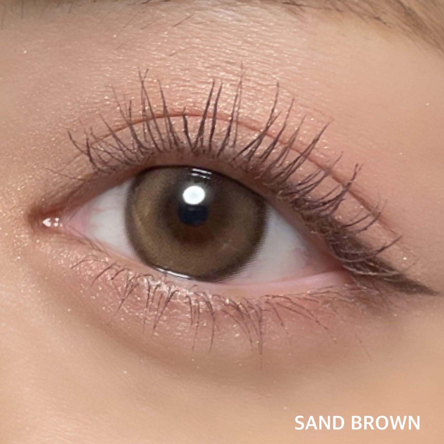 Hecate 1Day/Gemhour lens/カラーコンタクトレンズを使ったクチコミ(2枚目)