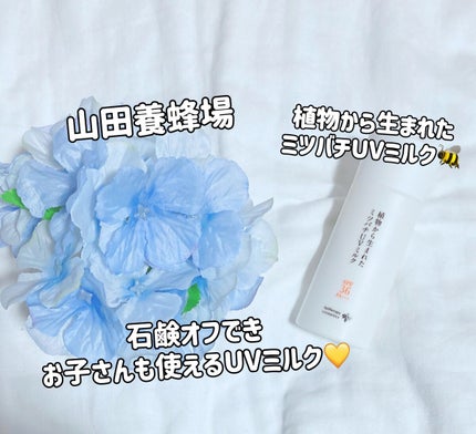 植物から生まれたミツバチUVミルク/アピセラピーコスメティクス/日焼け止めミルクを使ったクチコミ(1枚目)