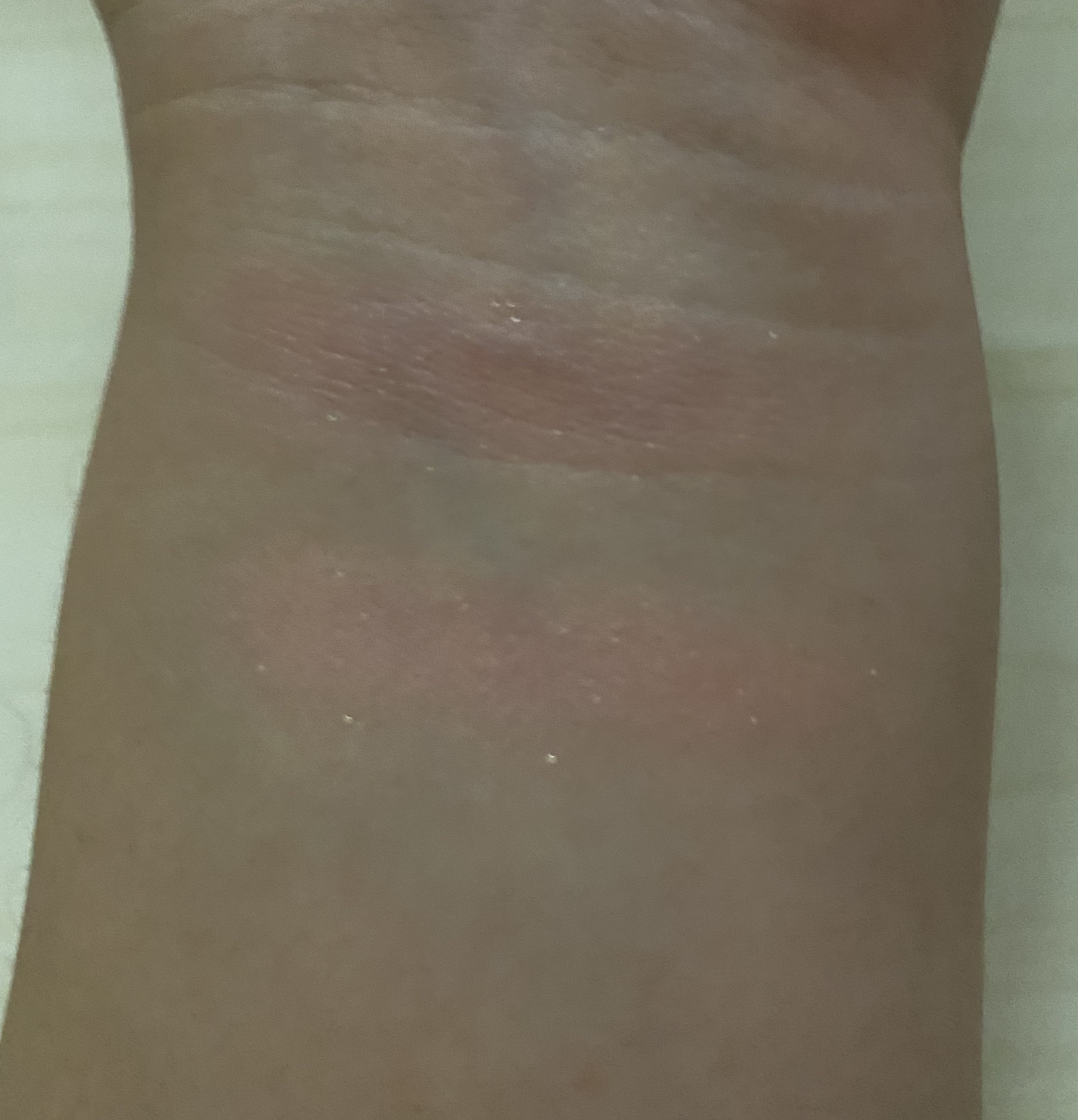 ナチュラル チークN/CEZANNE/パウダーチークを使ったクチコミ（2枚目）