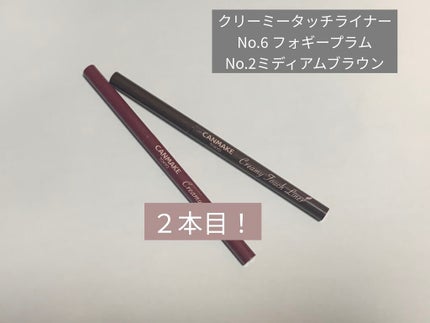 クリーミータッチライナー/キャンメイク/ジェルアイライナーを使ったクチコミ(1枚目)