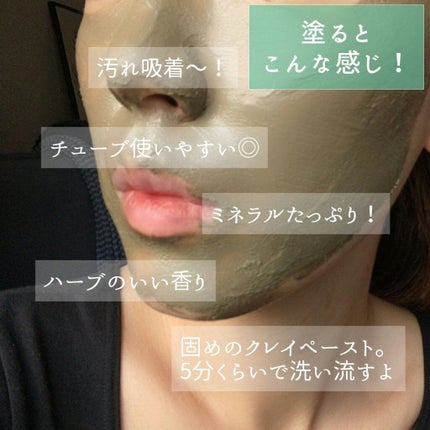 グリーンクレイペースト/ARGITAL/洗い流すパック・マスクを使ったクチコミ(3枚目)