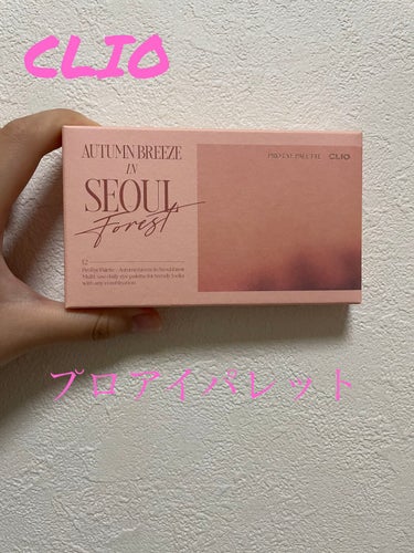 プロ アイ パレット 12 AUTUMN BREEZE IN SEOUL FOREST/CLIO/アイシャドウパレットを使ったクチコミ（1枚目）