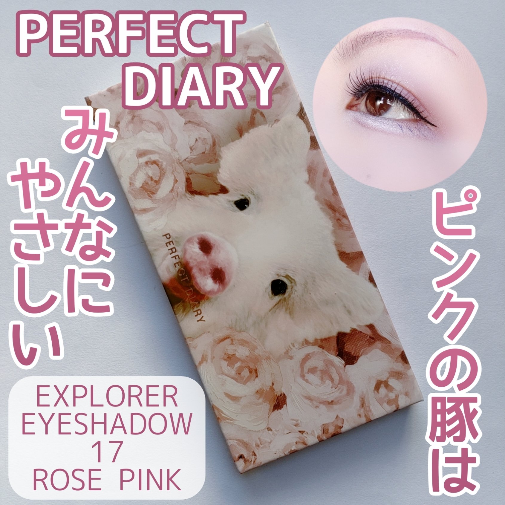 エクスプローラ12色 動物アイシャドウパレット/PERFECT DIARY/アイシャドウパレットを使ったクチコミ（1枚目）