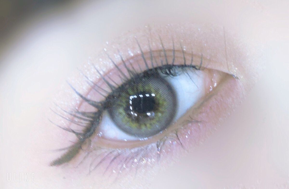 エクスプローラ12色 動物アイシャドウパレット/PERFECT DIARY/アイシャドウパレットを使ったクチコミ(5枚目)