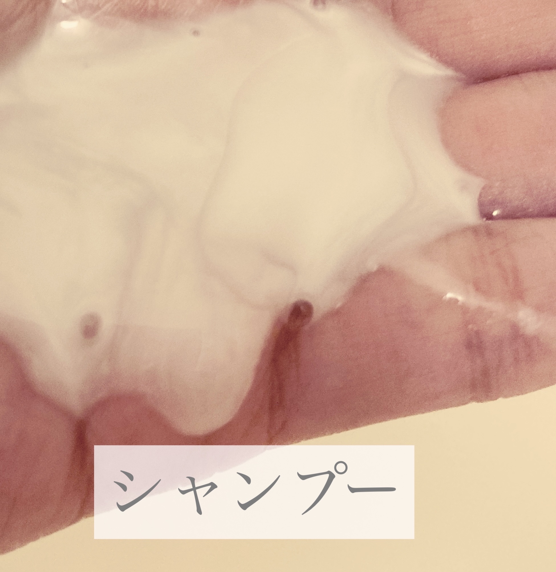 パフュームシャンプー＆コンディショナー/エラスチン/シャンプー・コンディショナーを使ったクチコミ（2枚目）