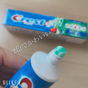 WHITENING　PLUS　SCOPE/Crest/歯磨き粉を使ったクチコミ（2枚目）