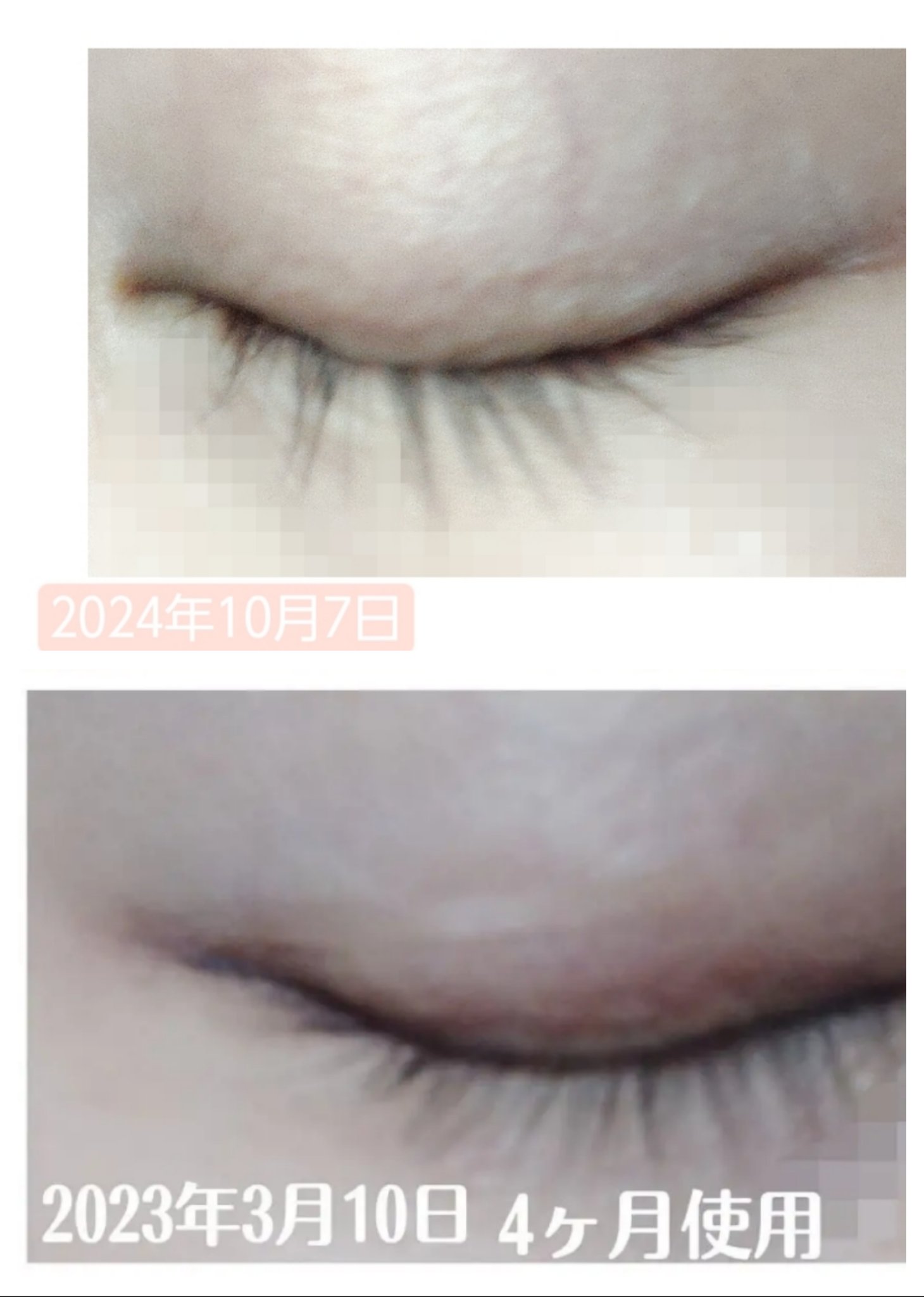 ラッシュジェリードロップ　ＥＸ/MAJOLICA MAJORCA/まつげ美容液を使ったクチコミ（3枚目）