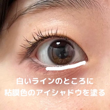 パーフェクトマルチアイズ/キャンメイク/アイシャドウパレットを使ったクチコミ(3枚目)