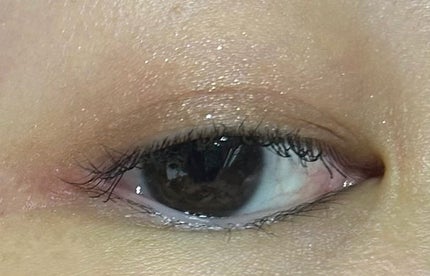 ダークローズシャドウ/KATE/アイシャドウパレットを使ったクチコミ(4枚目)