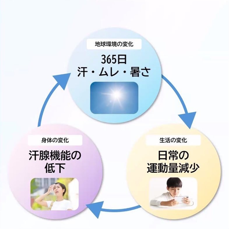 ビオレZero シート やさしいせっけんの香り/ビオレ/デオドラント・制汗剤を使ったクチコミ（3枚目）