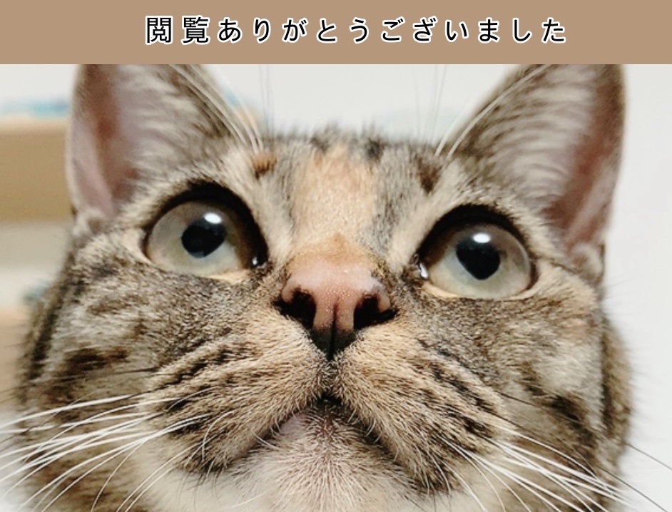 ウォンジョンヨ トーンアップベース/Wonjungyo/化粧下地を使ったクチコミ（3枚目）