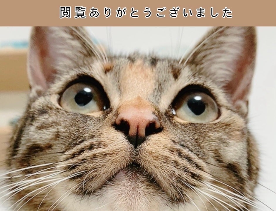 ウォンジョンヨ トーンアップベース/Wonjungyo/化粧下地を使ったクチコミ(3枚目)