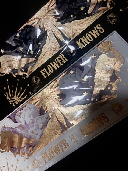 リトルエンジェル12色アイシャドウパレット ダークエンジェル/FlowerKnows/アイシャドウパレットを使ったクチコミ(1枚目)