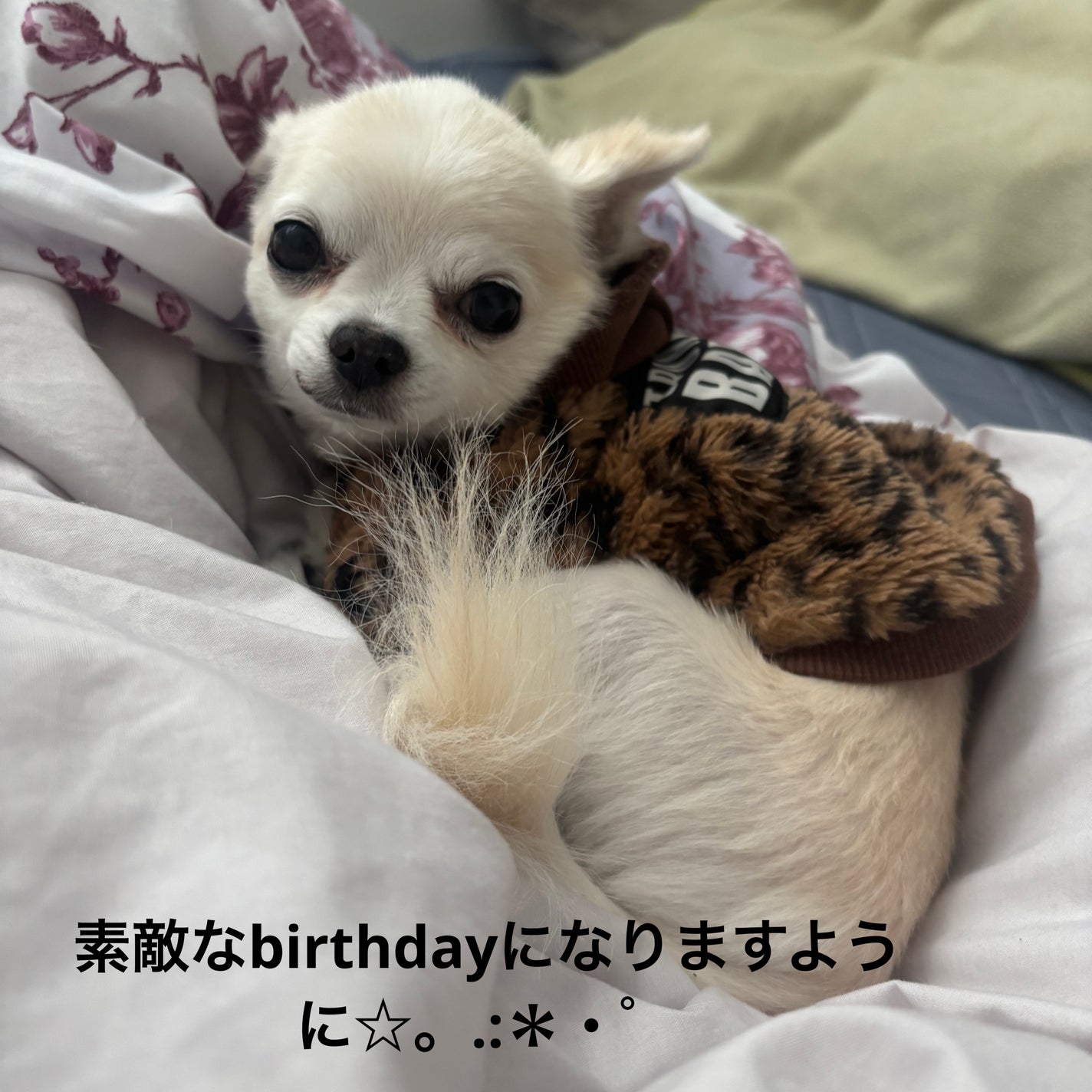 ミニネイル/パラドゥ/マニキュアを使ったクチコミ(7枚目)