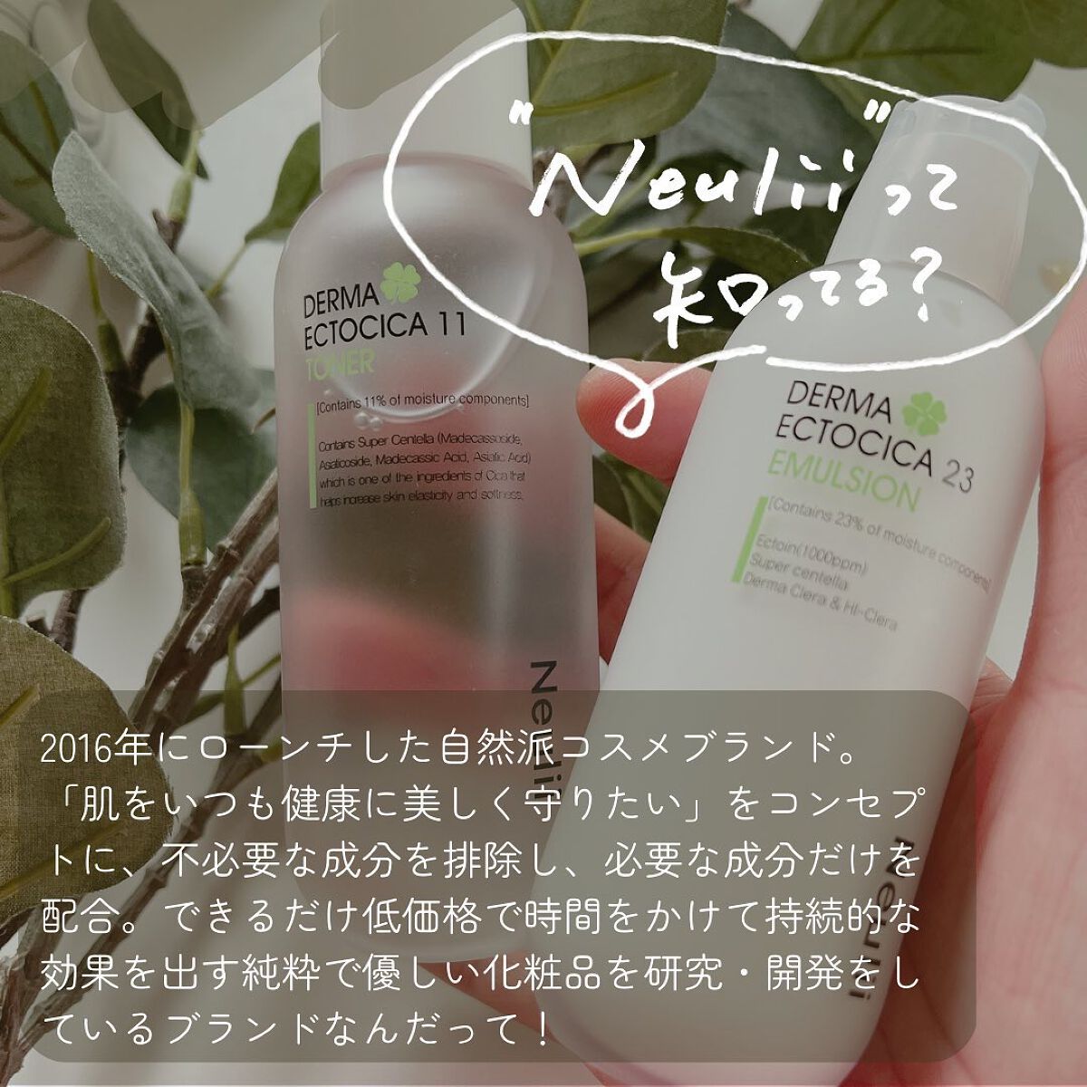 ダーマエクトシカ 23 エマルジョン/Neulii/乳液を使ったクチコミ(2枚目)