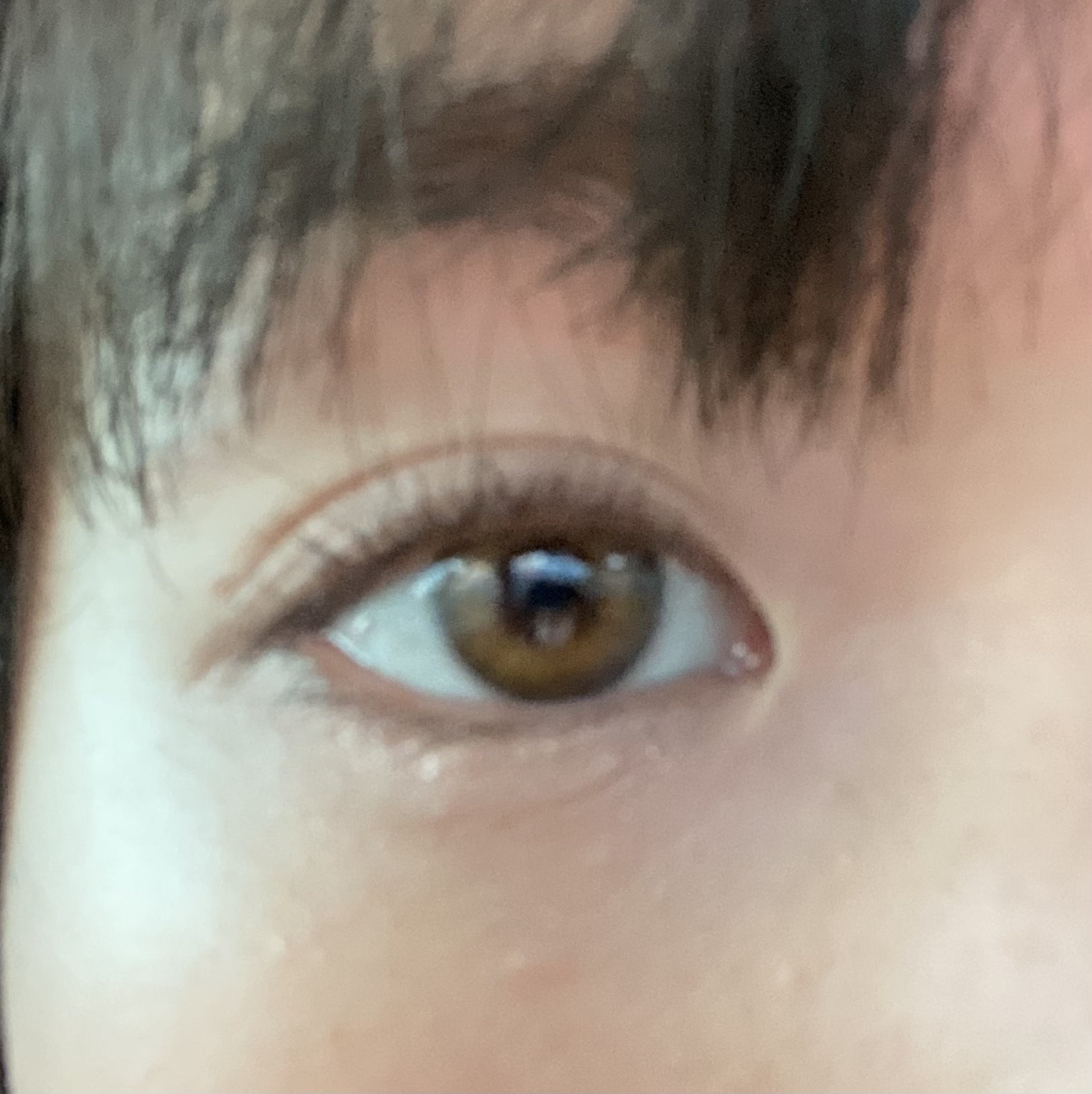 MOLAK 1day/MOLAK/ワンデー（１DAY）カラコンを使ったクチコミ（1枚目）