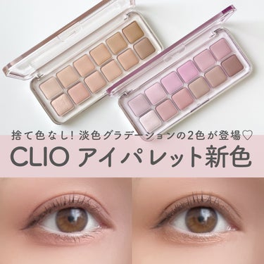 プロ アイ パレット エアー/CLIO/パウダーアイシャドウを使ったクチコミ（1枚目）