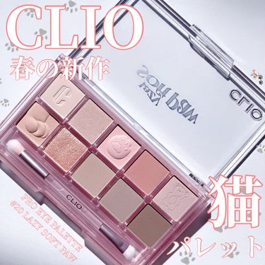 プロ アイ パレット 20 LAZY SOFT PAW/CLIO/アイシャドウパレットを使ったクチコミ（1枚目）