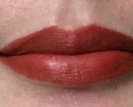 ジューシー マット ロングウェア リップスティック/Too Faced/口紅を使ったクチコミ(3枚目)