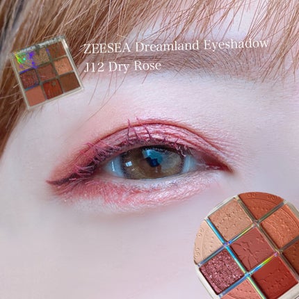 クォーツ 9色アイシャドウパレット(ドリームランドアイシャドウ)/ZEESEA/アイシャドウパレットを使ったクチコミ(2枚目)