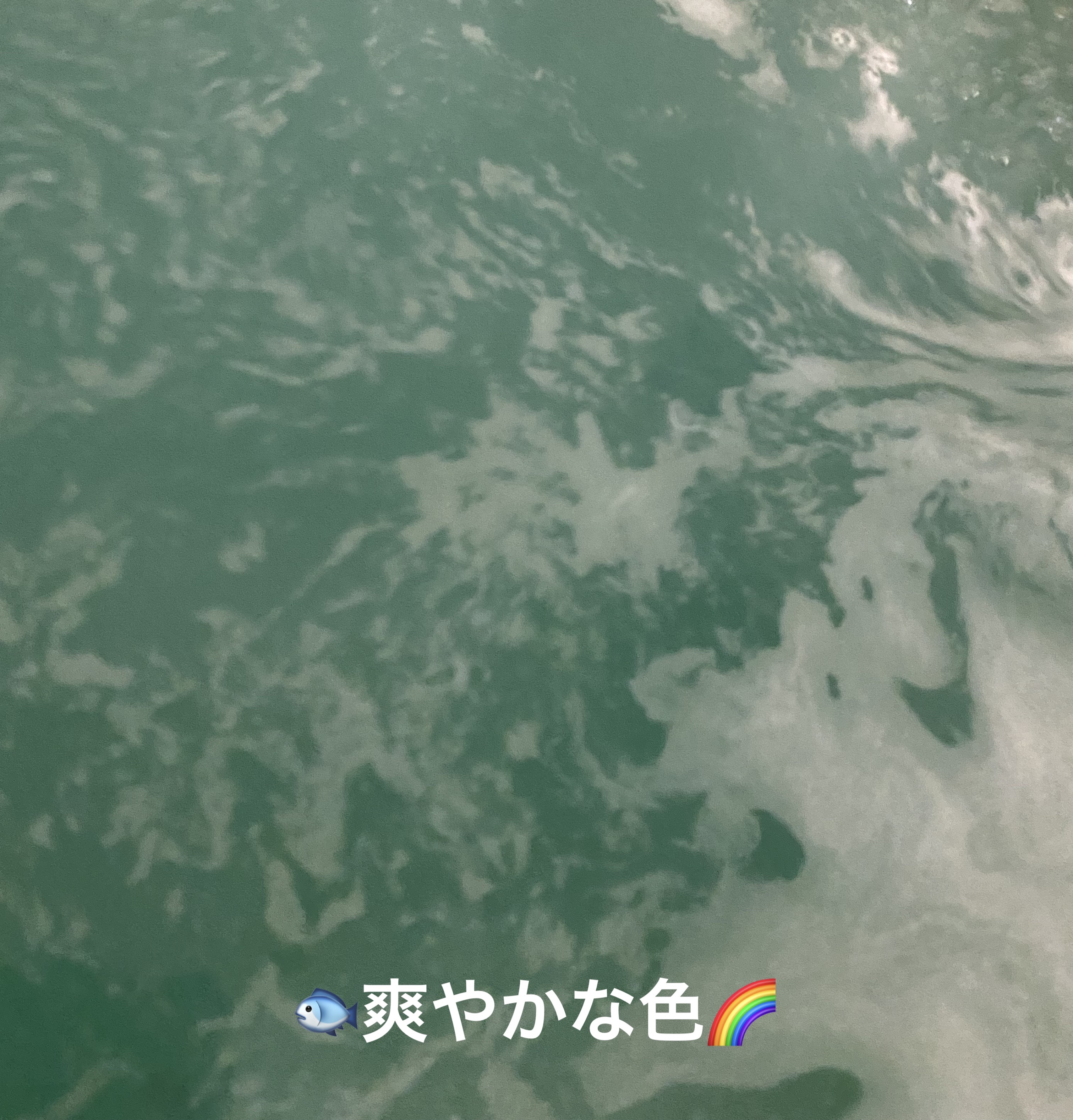 アボバス？/ラッシュ/炭酸系入浴剤を使ったクチコミ（2枚目）