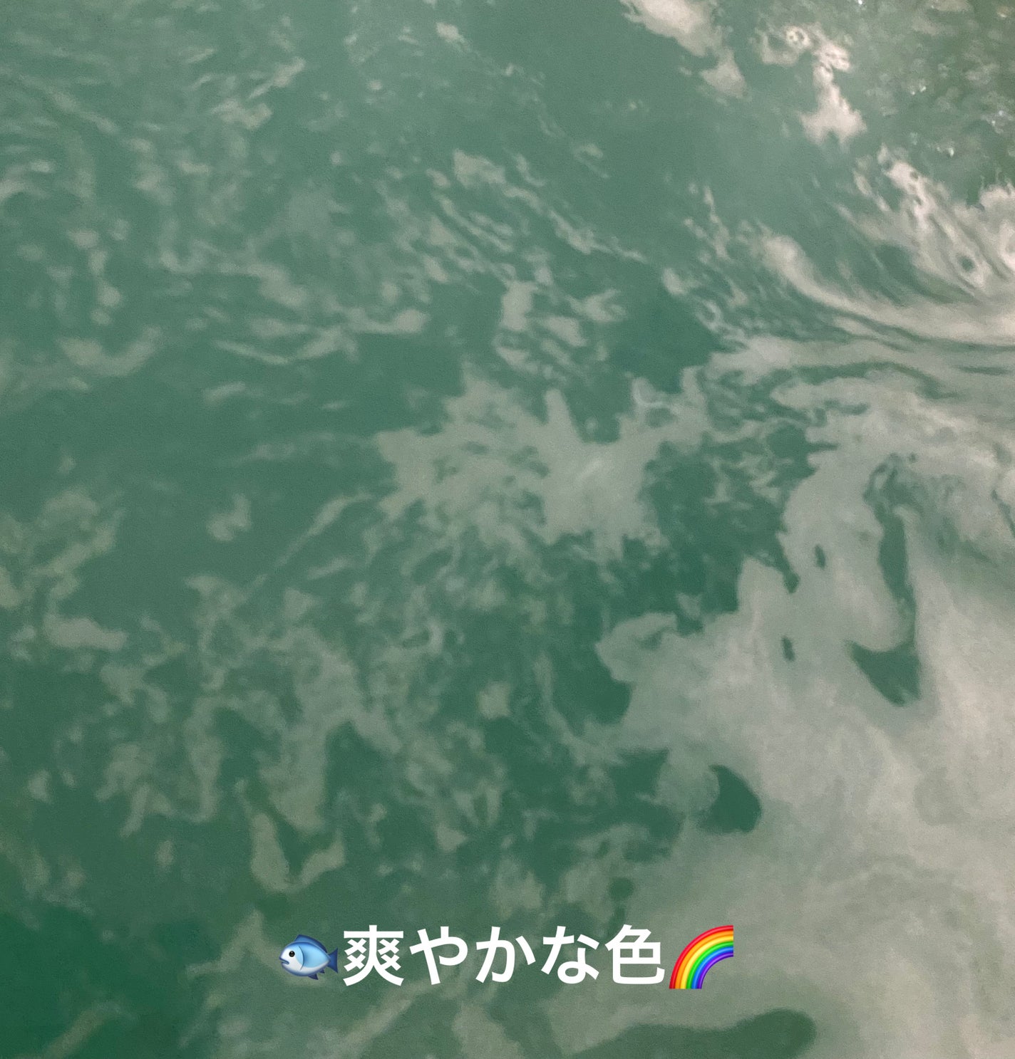 アボバス?/ラッシュ/炭酸系入浴剤を使ったクチコミ(2枚目)