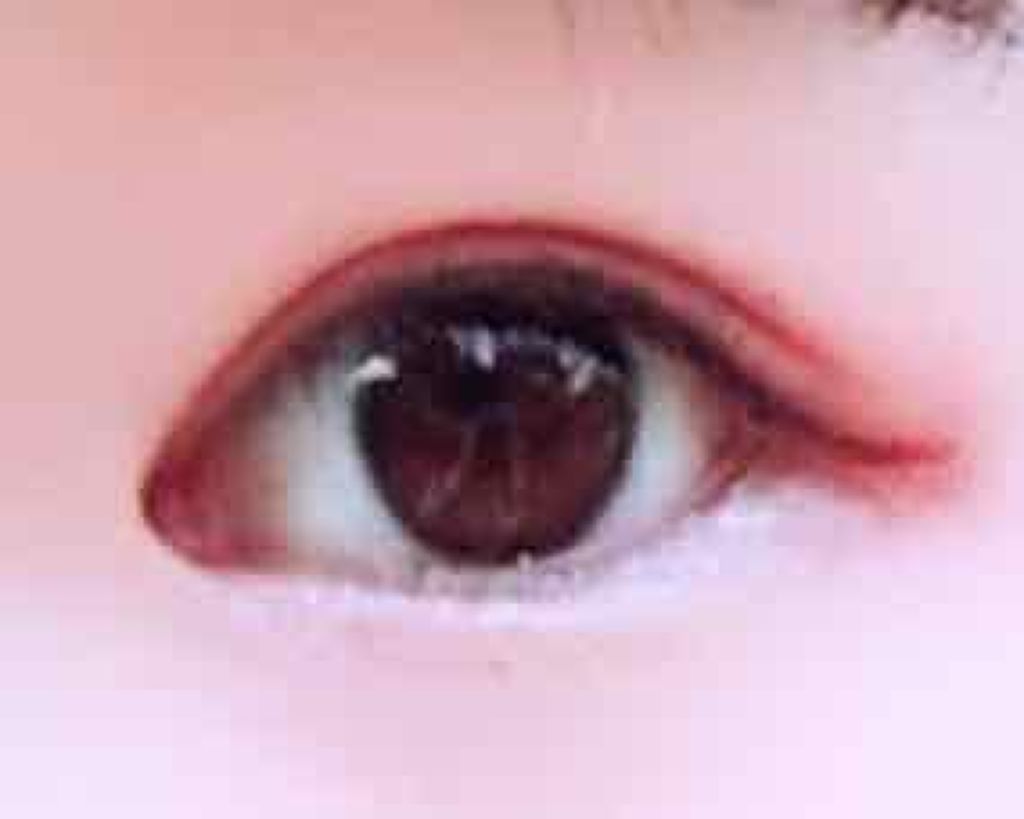 ラッシュセラムカーラー/マジョリカ マジョルカ/マスカラ下地を使ったクチコミ（2枚目）