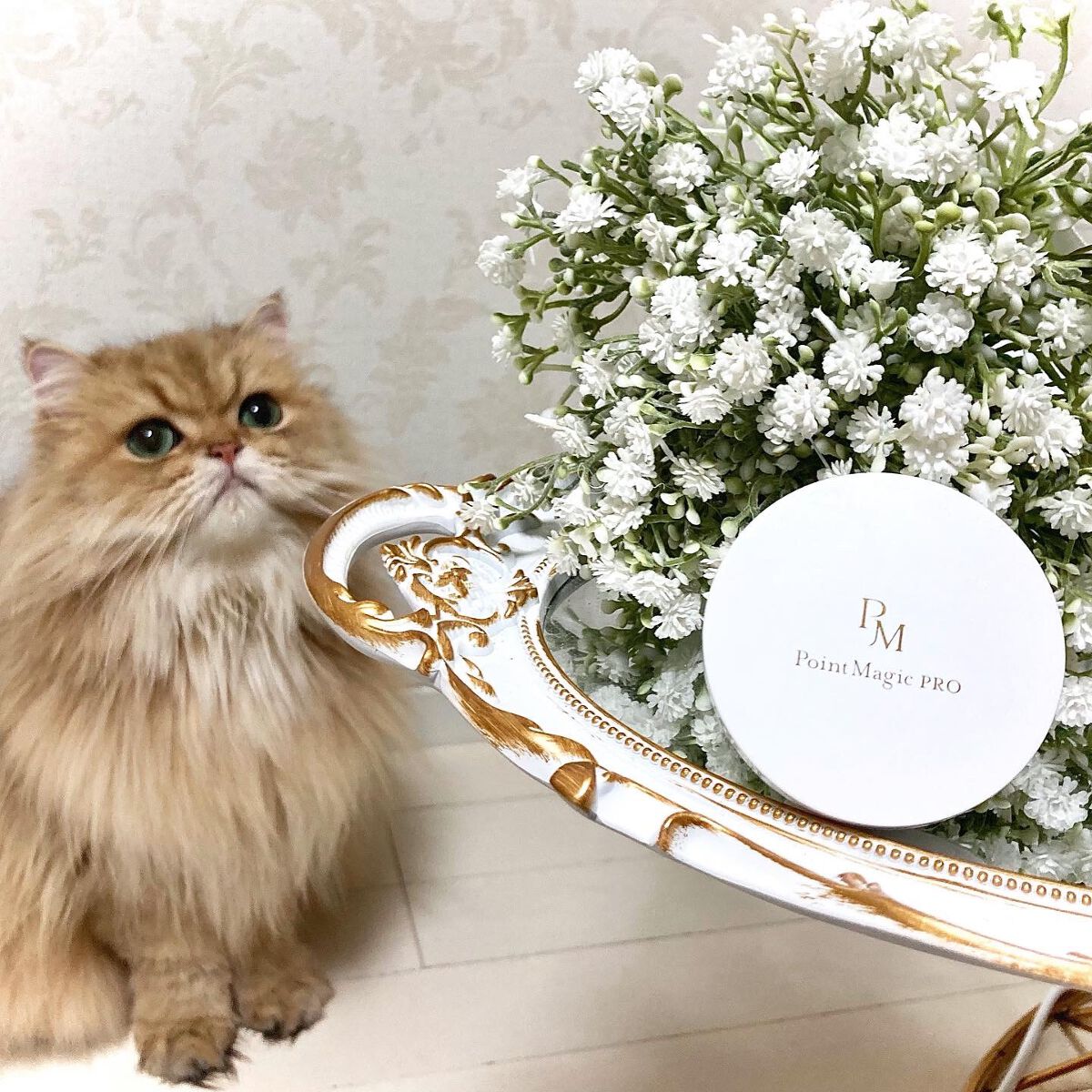 プレストパウダー C/ポイントマジックPRO/プレストパウダーを使ったクチコミ(4枚目)