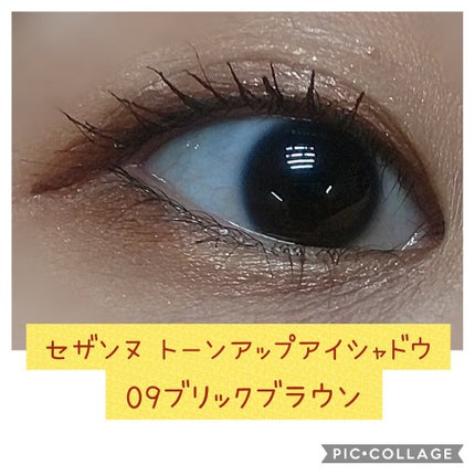 トーンアップアイシャドウ/CEZANNE/アイシャドウパレットを使ったクチコミ(1枚目)