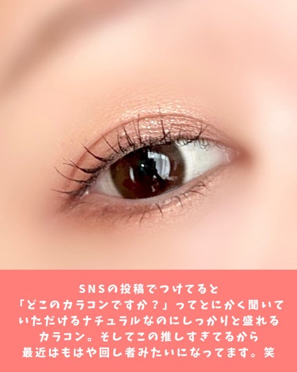 エバーカラーワンデーミリモア じらしてショコラ/エバーカラー/ワンデー(1DAY)カラコンの画像