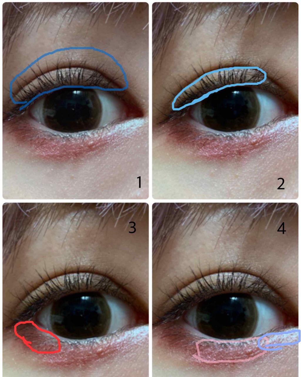 【旧品】パーフェクトスタイリストアイズ/キャンメイク/アイシャドウパレットを使ったクチコミ（2枚目）