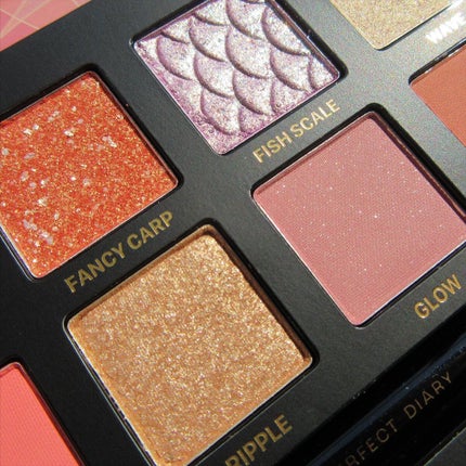 エクスプローラ12色 動物アイシャドウパレット/PERFECT DIARY/アイシャドウパレットを使ったクチコミ(3枚目)