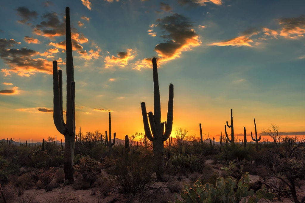 ルルルン モイストジェルクリーム(保湿タイプ)/ルルルン/フェイスクリームを使ったクチコミ(1枚目)