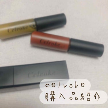 ディグニファイド リップス 33 ネーブルオレンジ/Celvoke/口紅を使ったクチコミ（1枚目）