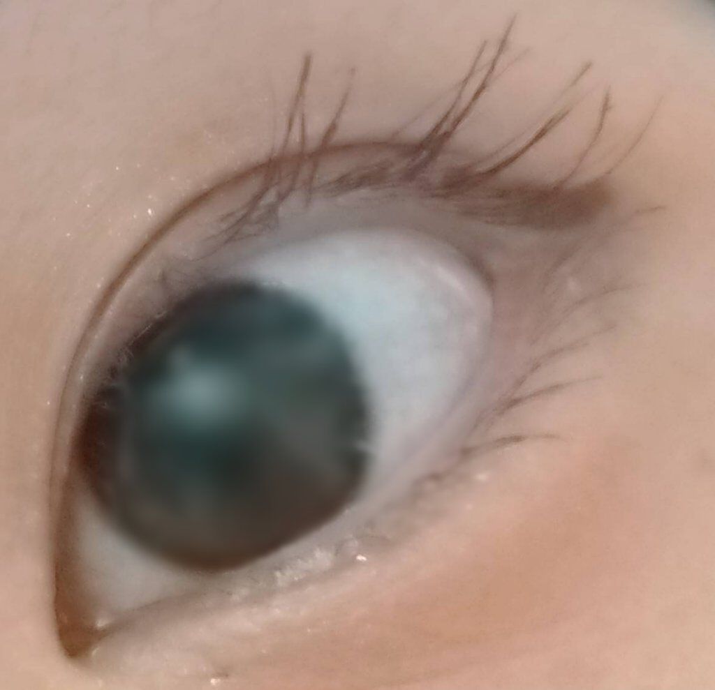 クイックラッシュカーラー/キャンメイク/マスカラ下地を使ったクチコミ(6枚目)